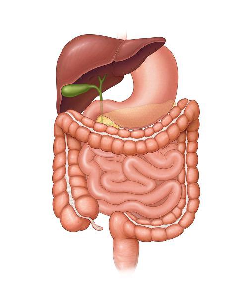 医生不会告诉你的10大秘密,医生不会告诉你眼科的秘密
