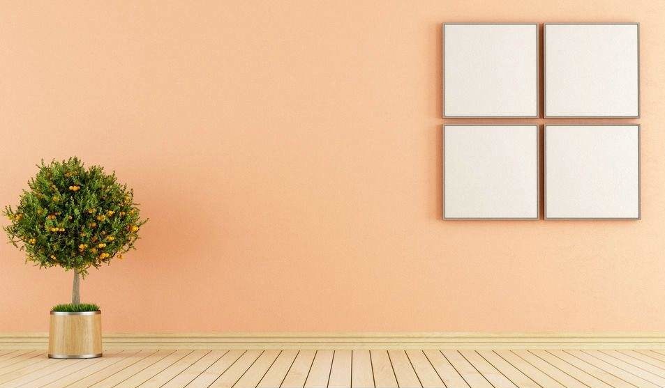 绿植真的能去除甲醛吗为什么,绿植去除甲醛靠谱吗