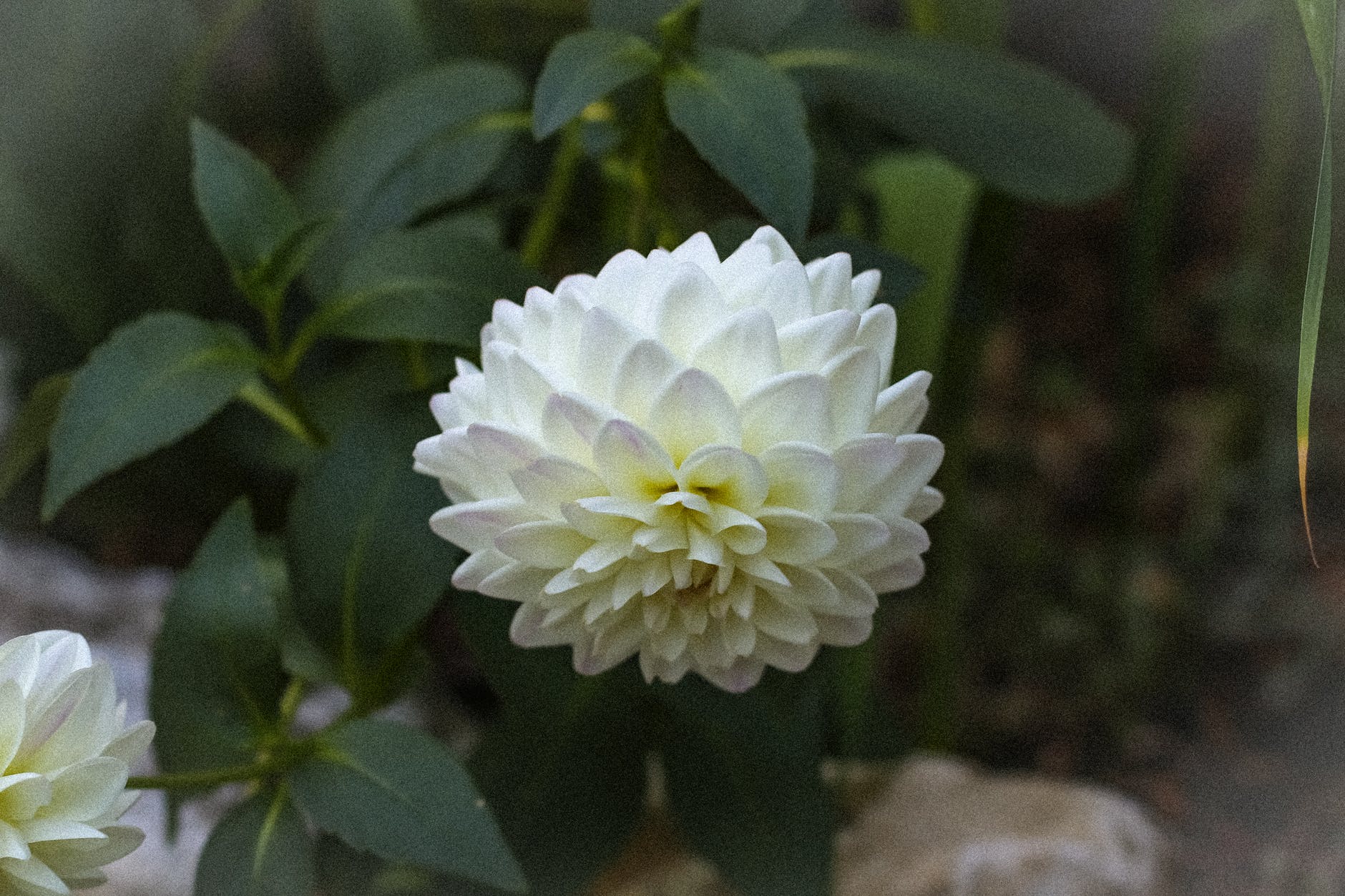 想让一个男人快速爱上你该怎么办,如何让一个男人深深记住你