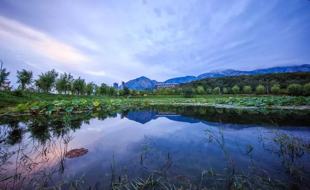 2023年大连理工大学考研报名时间,2024大连理工研究生招生简章