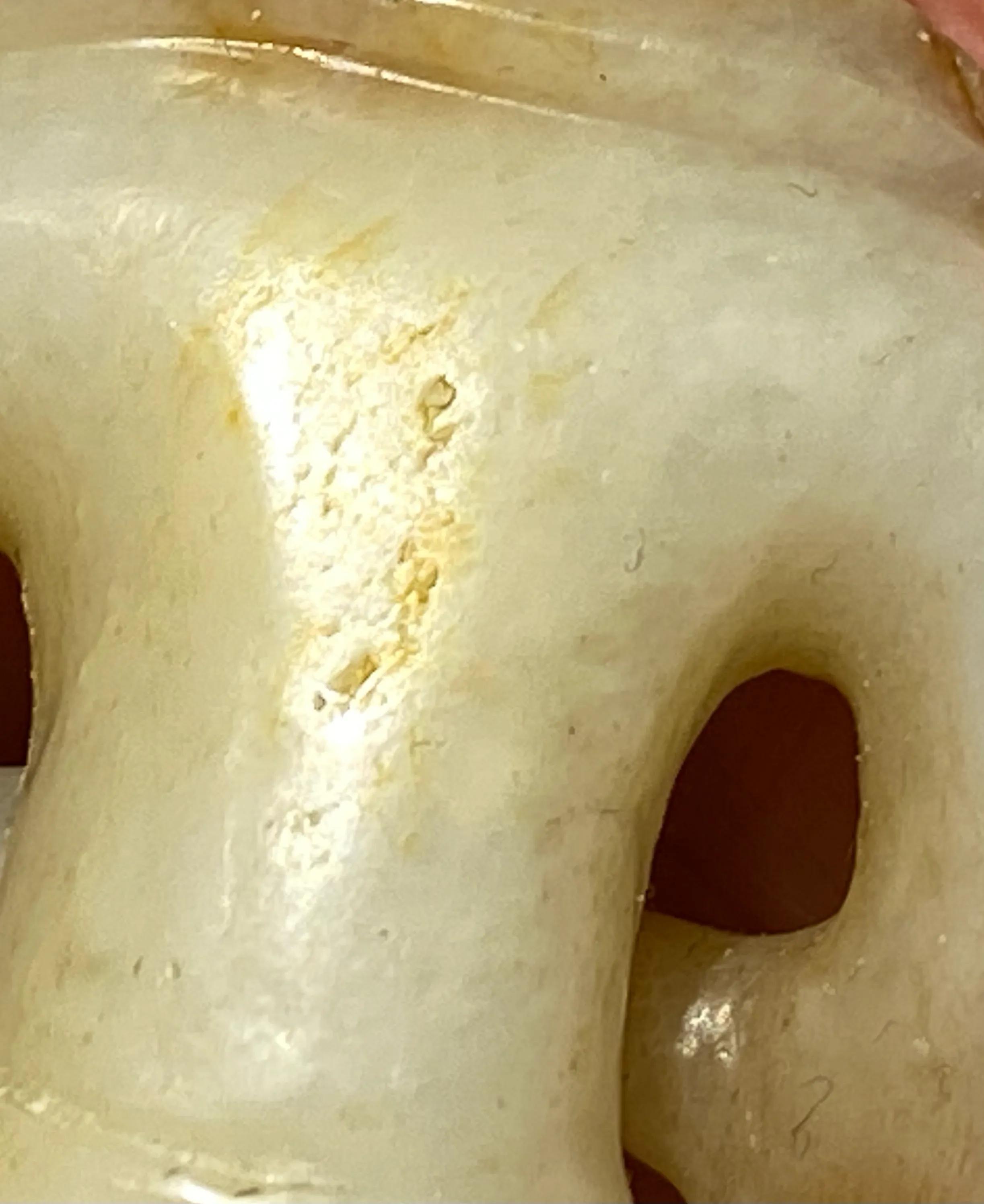 玉佛真正的历史,玉佛鉴赏