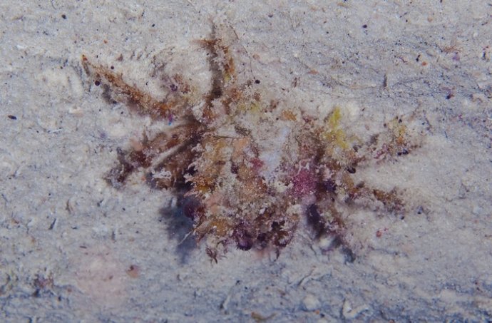 海底你不知道的东西,海底世界东海龙宫