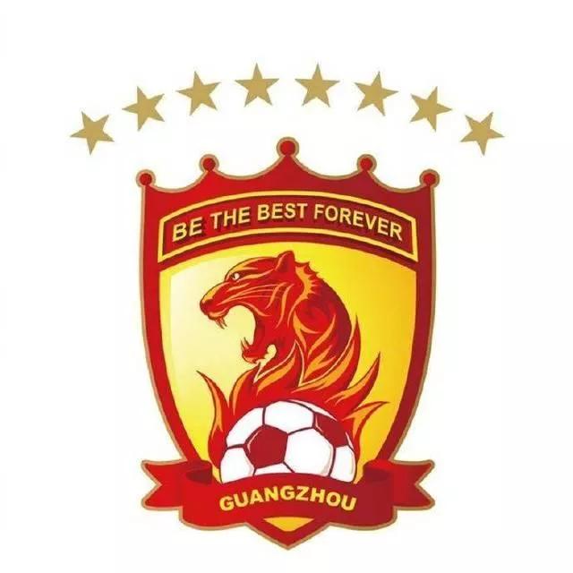 中国足球职业化排名,深度分析中国足球发展之路