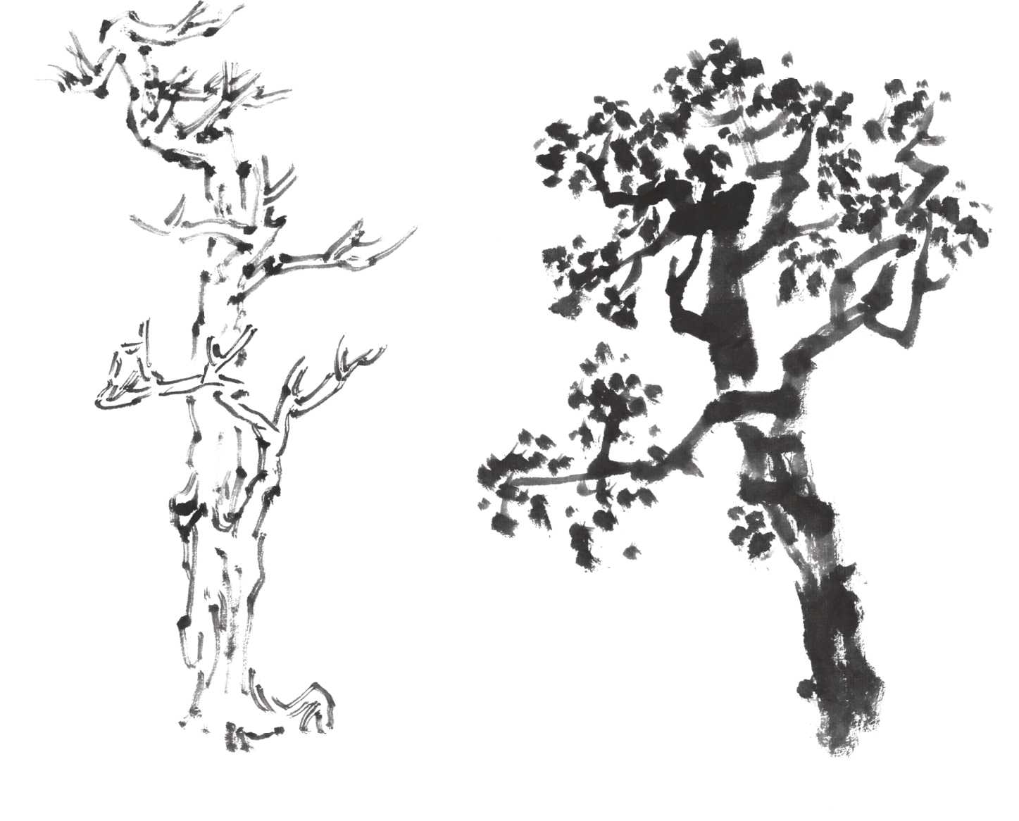 树画简单初学者教程,树画不好看了怎么改