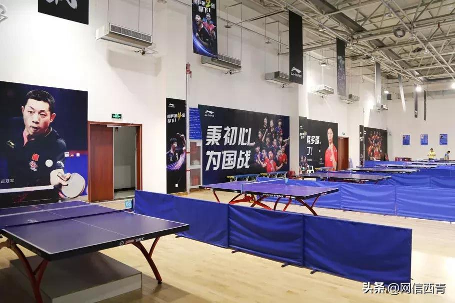 体操王子李宁走进天津西青——西青区全民健身运动会倒计时100天暨天津西青李宁运动中心开园活动举行