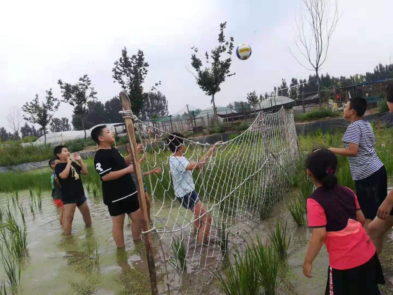 野趣童年,野趣童年创始人崔硕