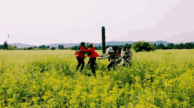 10个闺蜜，历时22天，沿着中俄边境跑了8100公里，刺激！（一）