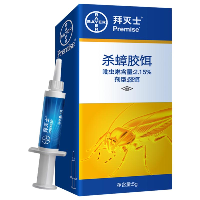 蟑螂防治小妙招,冬季蟑螂不休眠抓住灭蟑的好时机