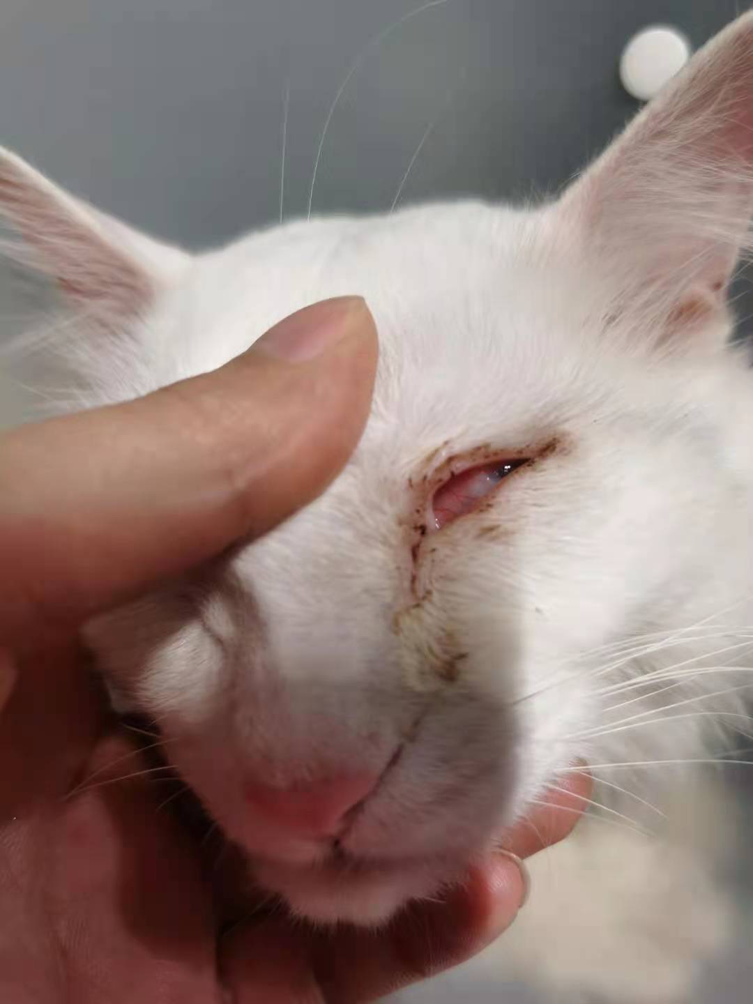 一个小细节能省几百块,一个小细节让你省上千块