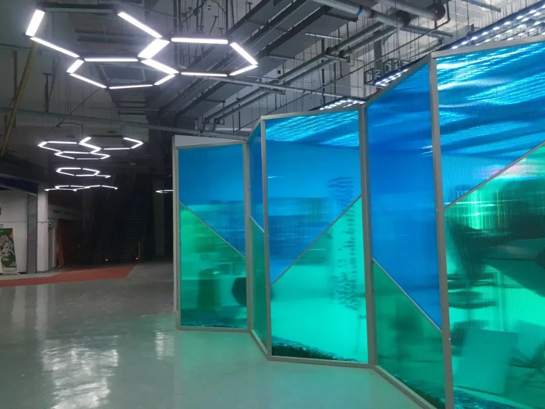 “蜂巢”里的秀场主播:再过5年,想变成李佳琦