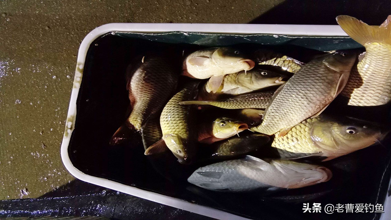 收费鱼塘钓鱼技巧,鱼塘钓鱼怎么收费合理