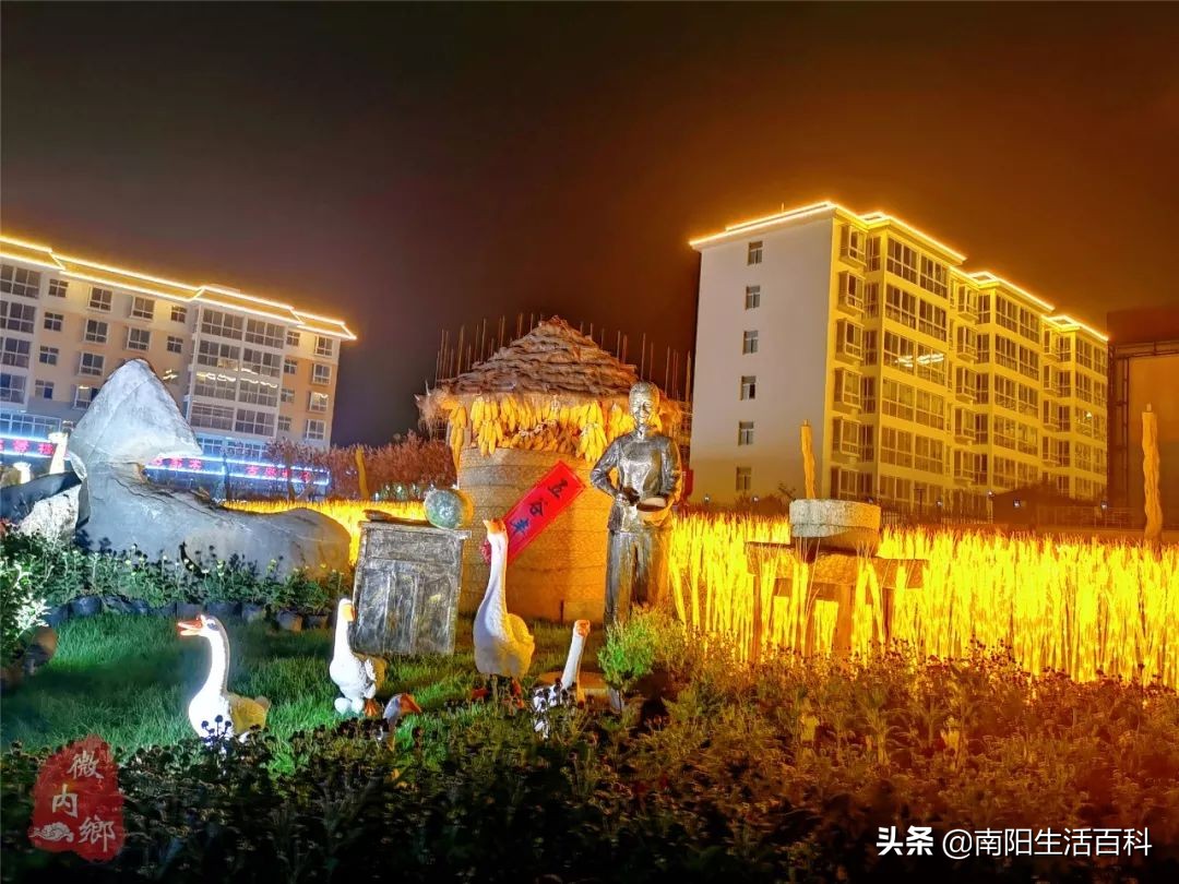 内乡梨苑山庄菊花展,内乡31届菊花展