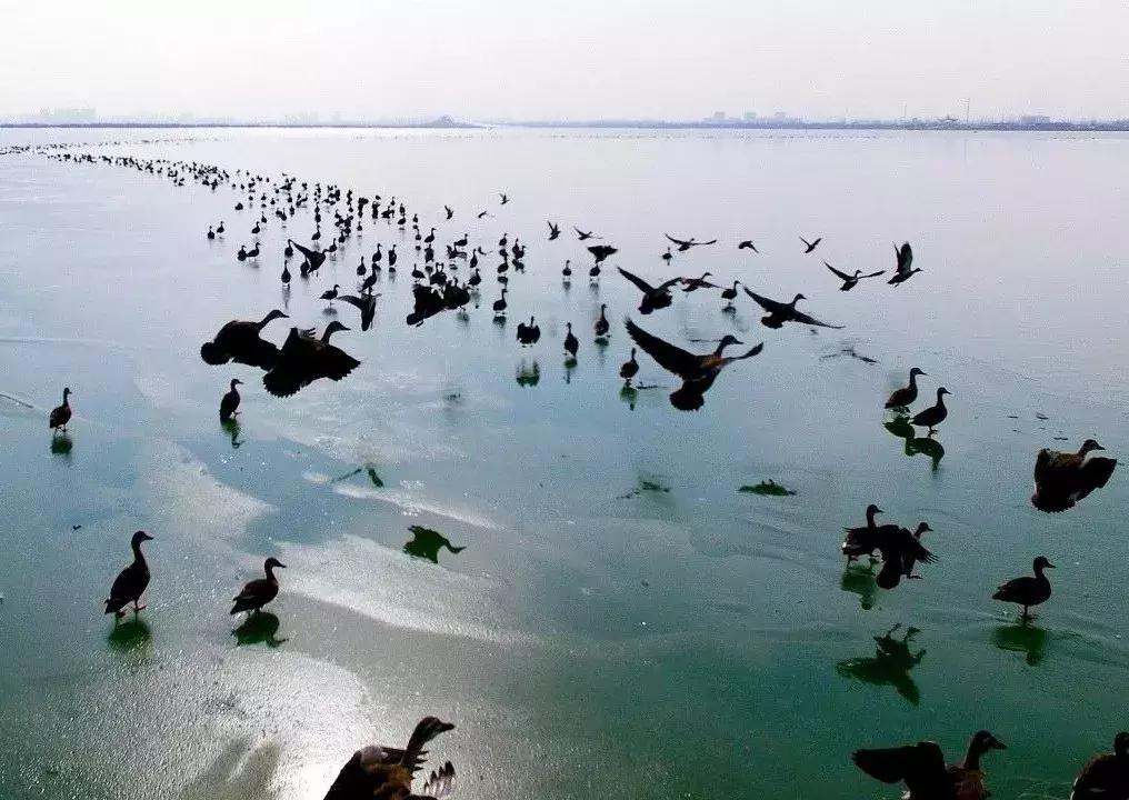 银川一个不一样的西北城市,宁夏银川大西北