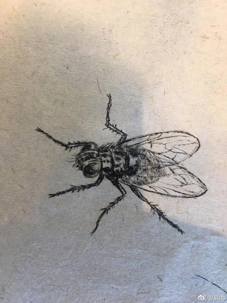 影帝夏雨书法真迹,演员夏雨晒书法作品