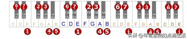 电子琴母亲0基础指法,学习电子琴音阶指法
