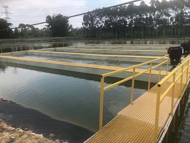 养殖塘水面泡沫怎么处理掉,养殖池塘泡沫过多的原因