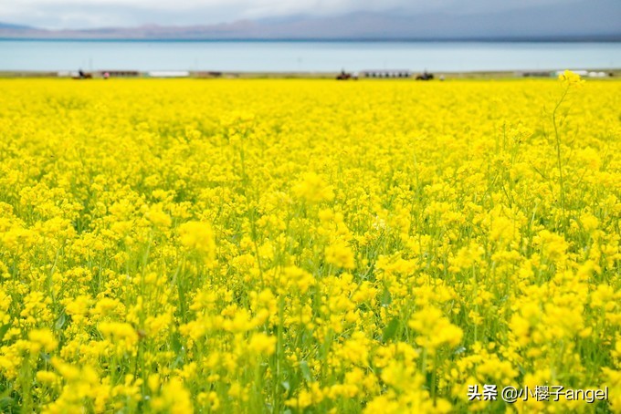 大西北环线深度旅行,大西北千沟万壑