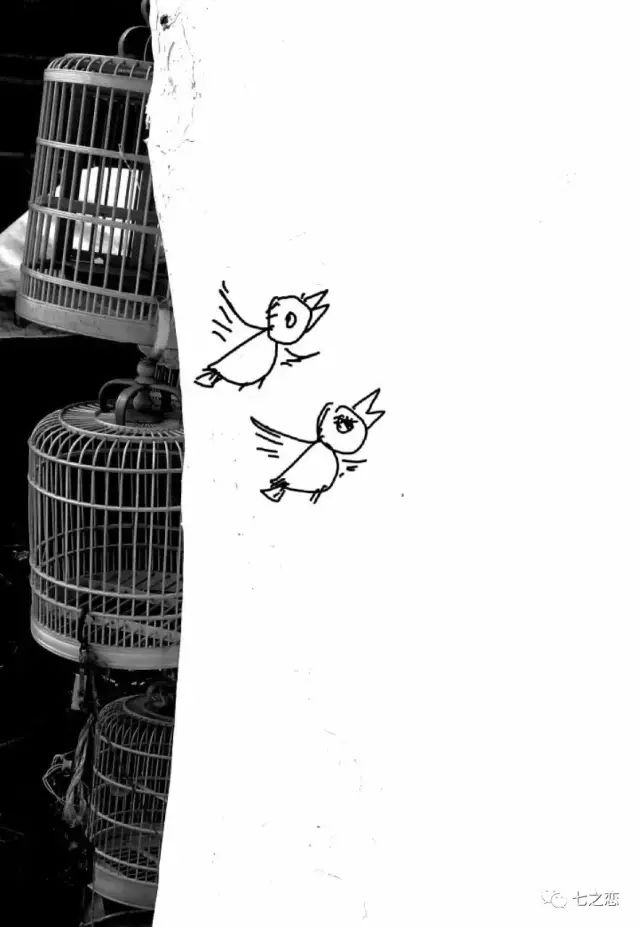 羽人的梦想与友情中国的Jetman涡喷飞翼初次试飞现场见证