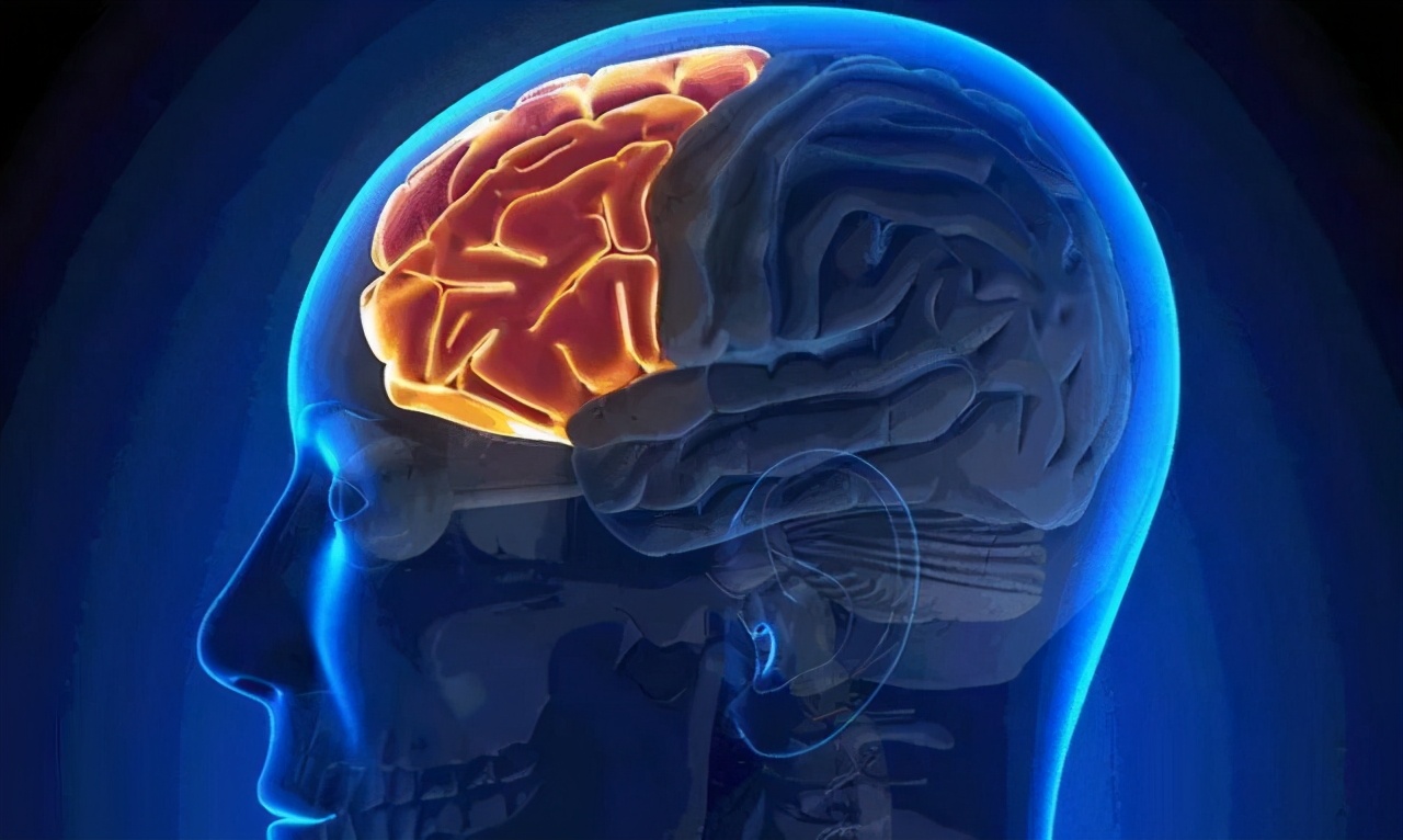 意识与无意识睡眠与梦「心理学了27」