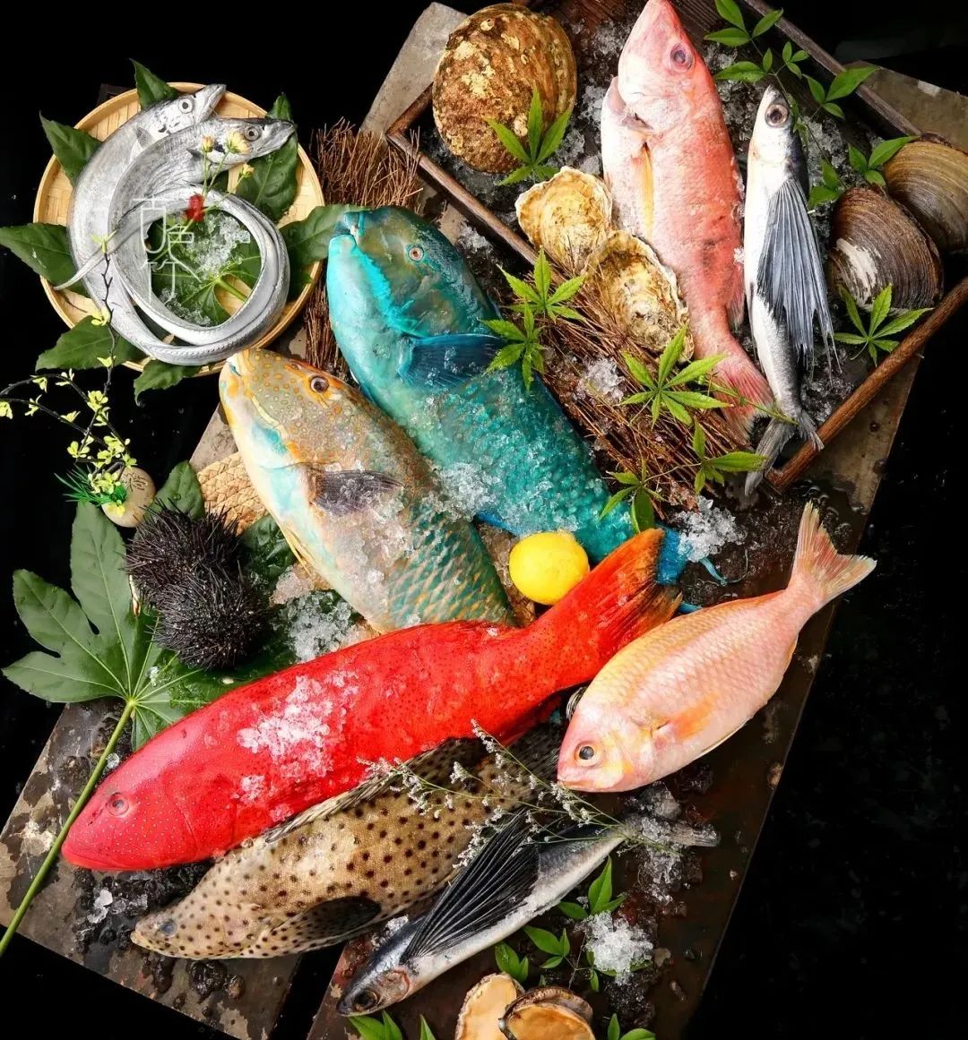 中国最美海岛西沙群岛,西沙群岛最美无人岛