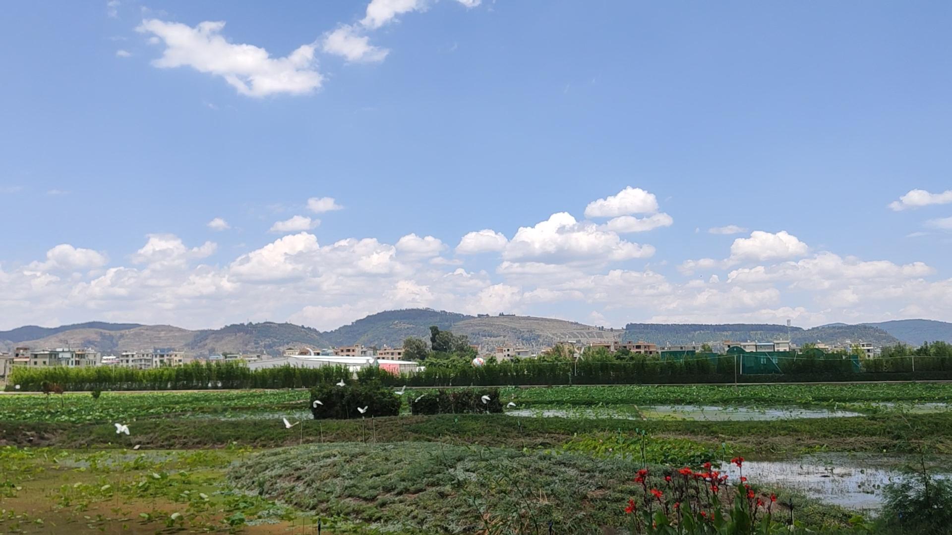 抚仙湖哪里吃铜锅鱼实惠,抚仙湖湖边哪里的石锅鱼最好吃