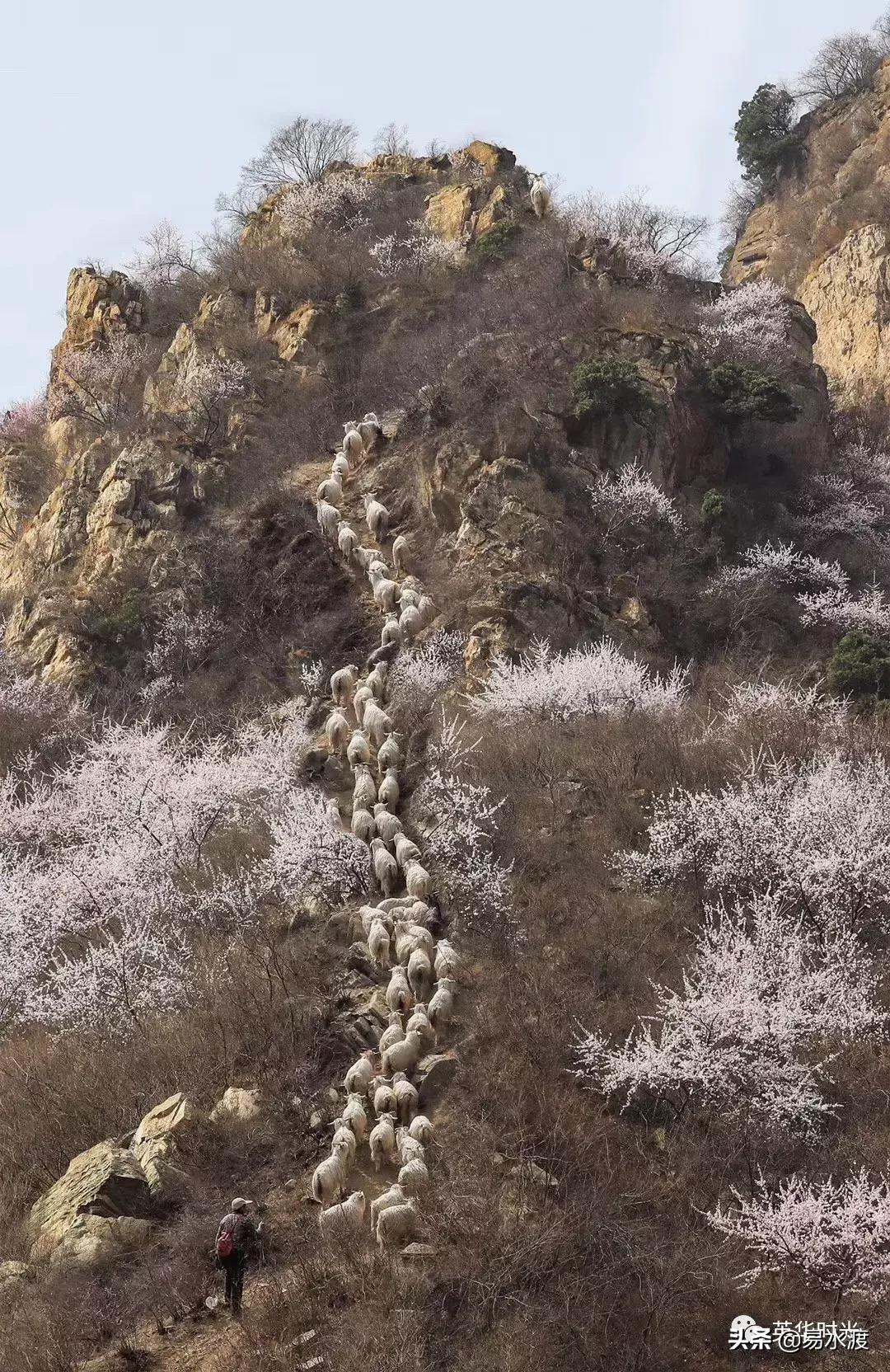 易县好看的视频,易县哪儿的好看