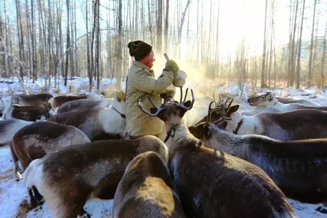 中国最美雪景地方,最适合旅游的雪国