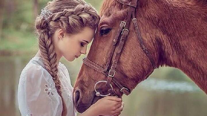 从财务角度分析公司机会,从财务角度判断好公司