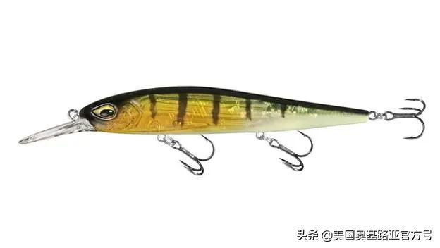 全国各地渔具展,全国渔具展2024