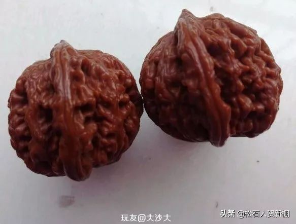 核桃树上的核桃可以盘吗,便宜的核桃能盘出效果吗