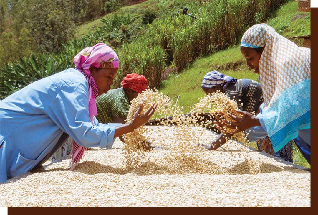 如何点一杯咖啡显得专业,如何点一杯美式咖啡