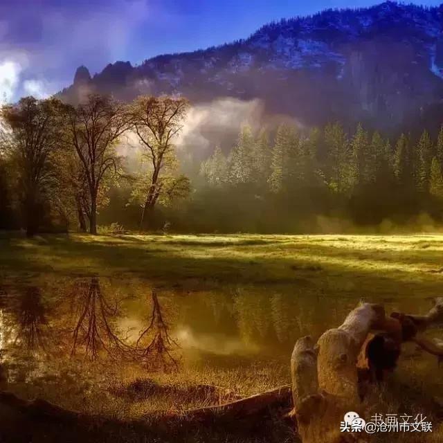 今生不渡此身更待何时渡原话,今生不借此生渡