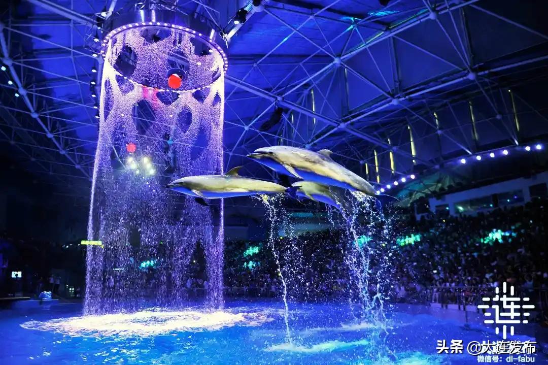 大连地区中秋出游攻略,大连中秋节旅行攻略