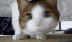 千万别小看想当妈妈的女人 (女人成为妈妈以后才知道的这些事)