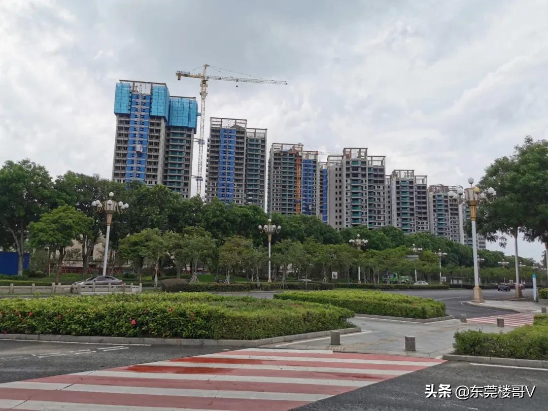 高埗镇的房价为啥这么高,高埗房价走势2021