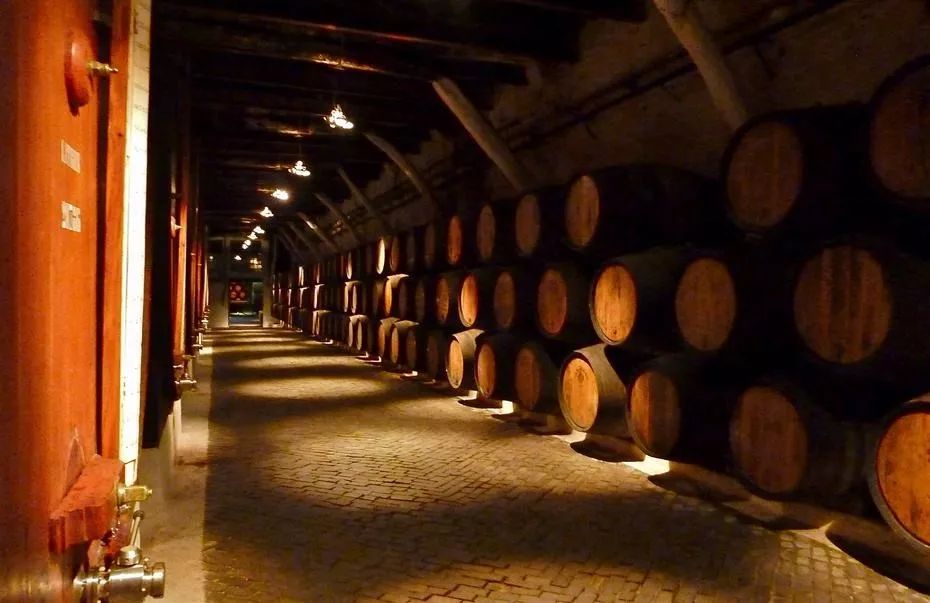 8块钱的沙丁鱼，当街烤制太美味，看船长如何玩转波尔图