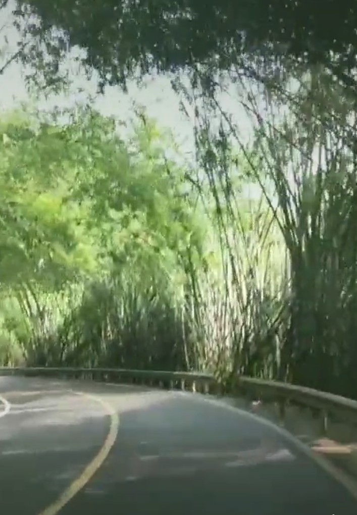 宜宾市长宁蜀南竹海,我的中国行