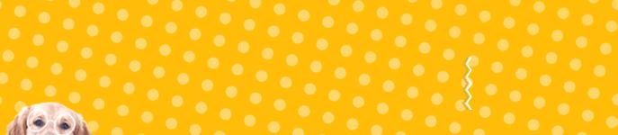 猫咪怀孕每天上蹿下跳会流产吗,猫咪流产怎么帮忙排出死胎