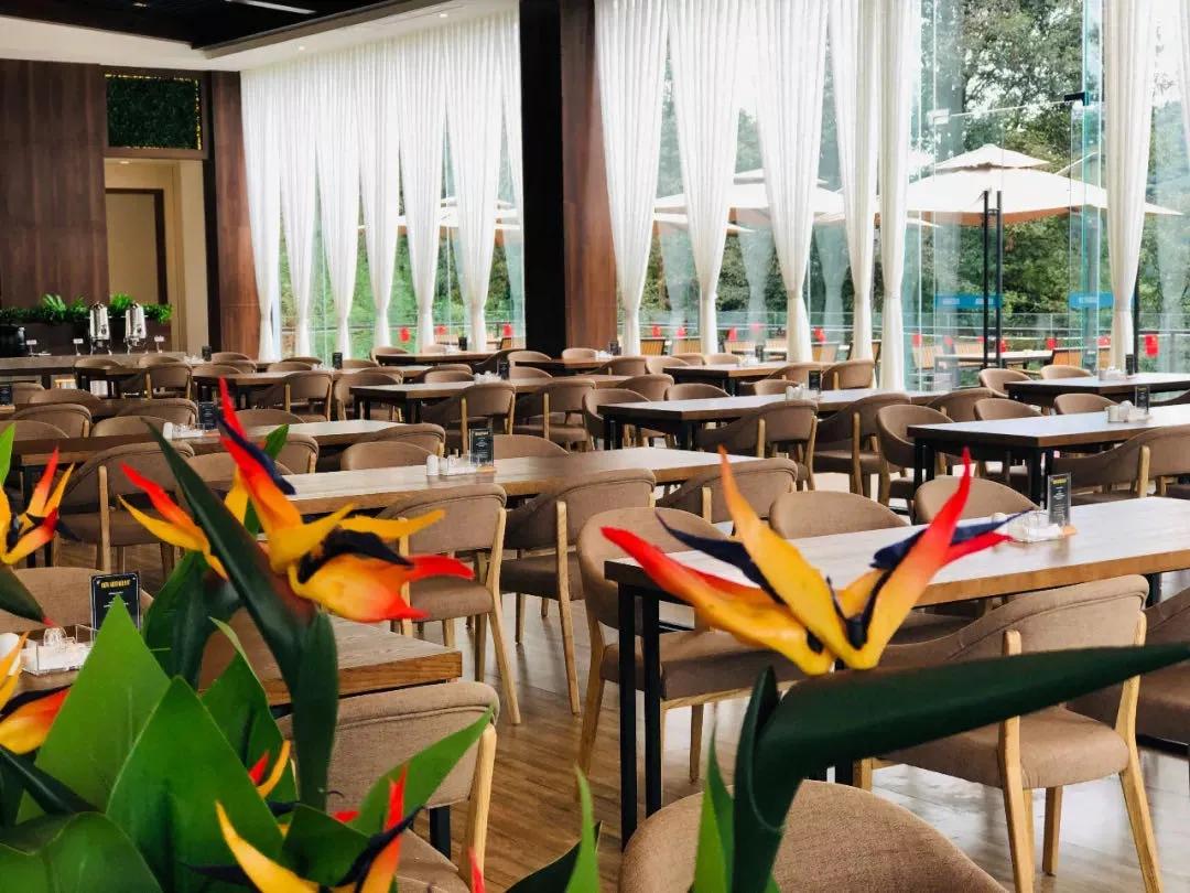 雅安适合团建聚餐的地方,雅安团队团建