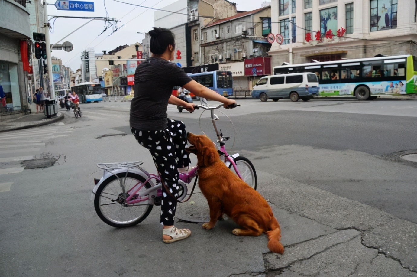 狗狗爆冲乱跑怎么纠正,狗狗见到其他狗爆冲怎么制止