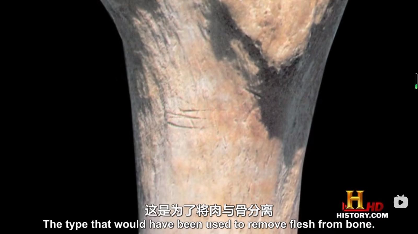 食人又变态的克里特人