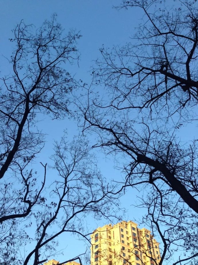 风月老电影《爱奴》：别误会，不是性的奴隶「避世斋读书会」