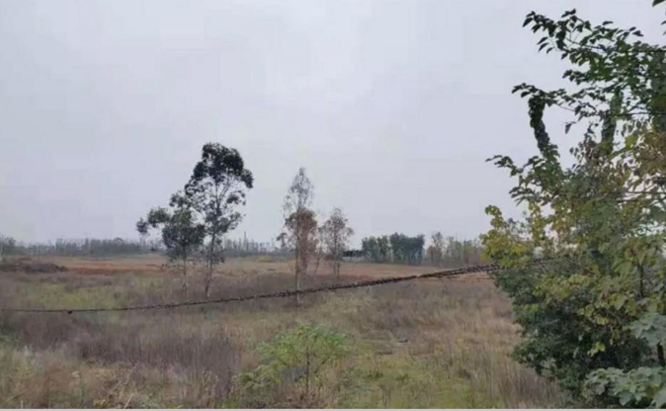 无任何鉴定依据中证造价成都公司涉嫌虚假鉴定