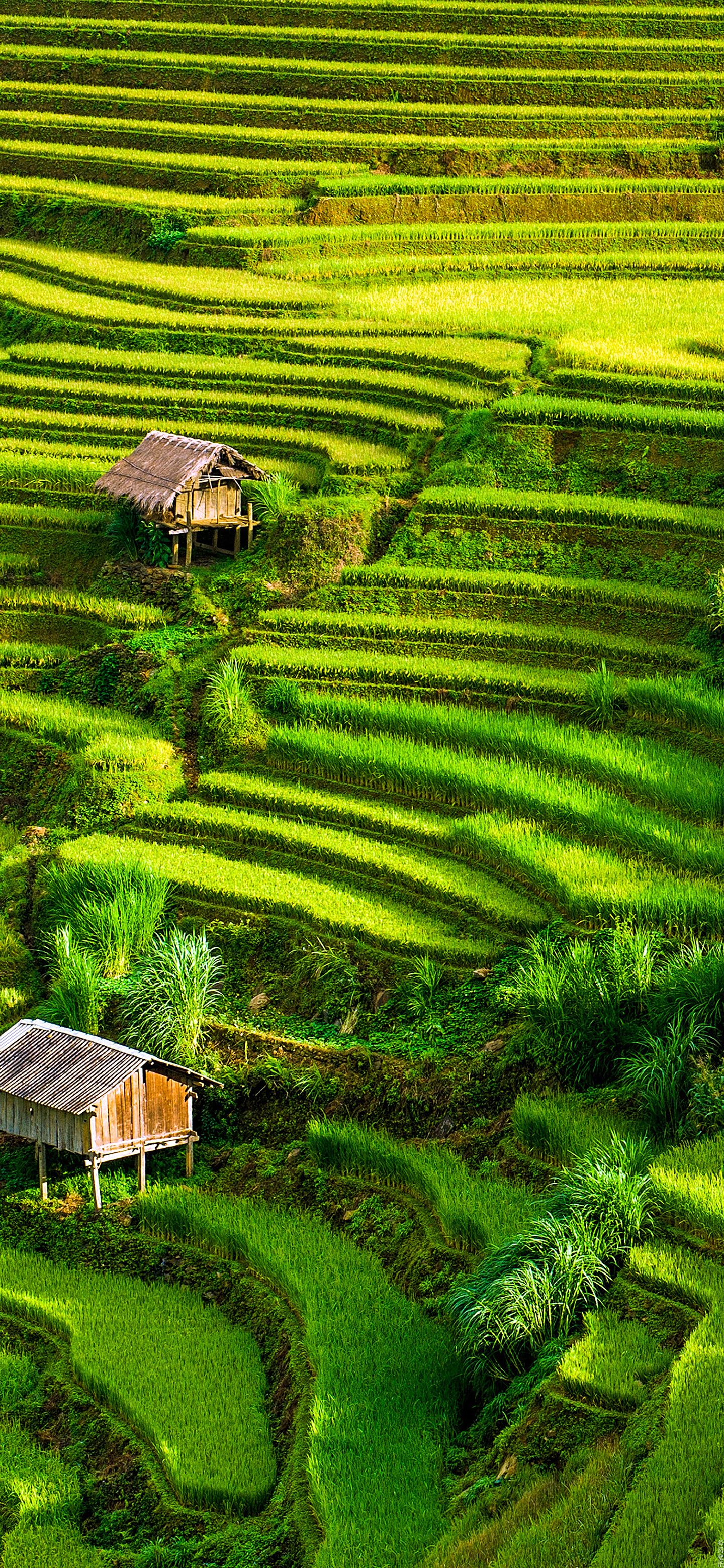 有山有水有阳光风景高清壁纸,格局大气高清风景壁纸