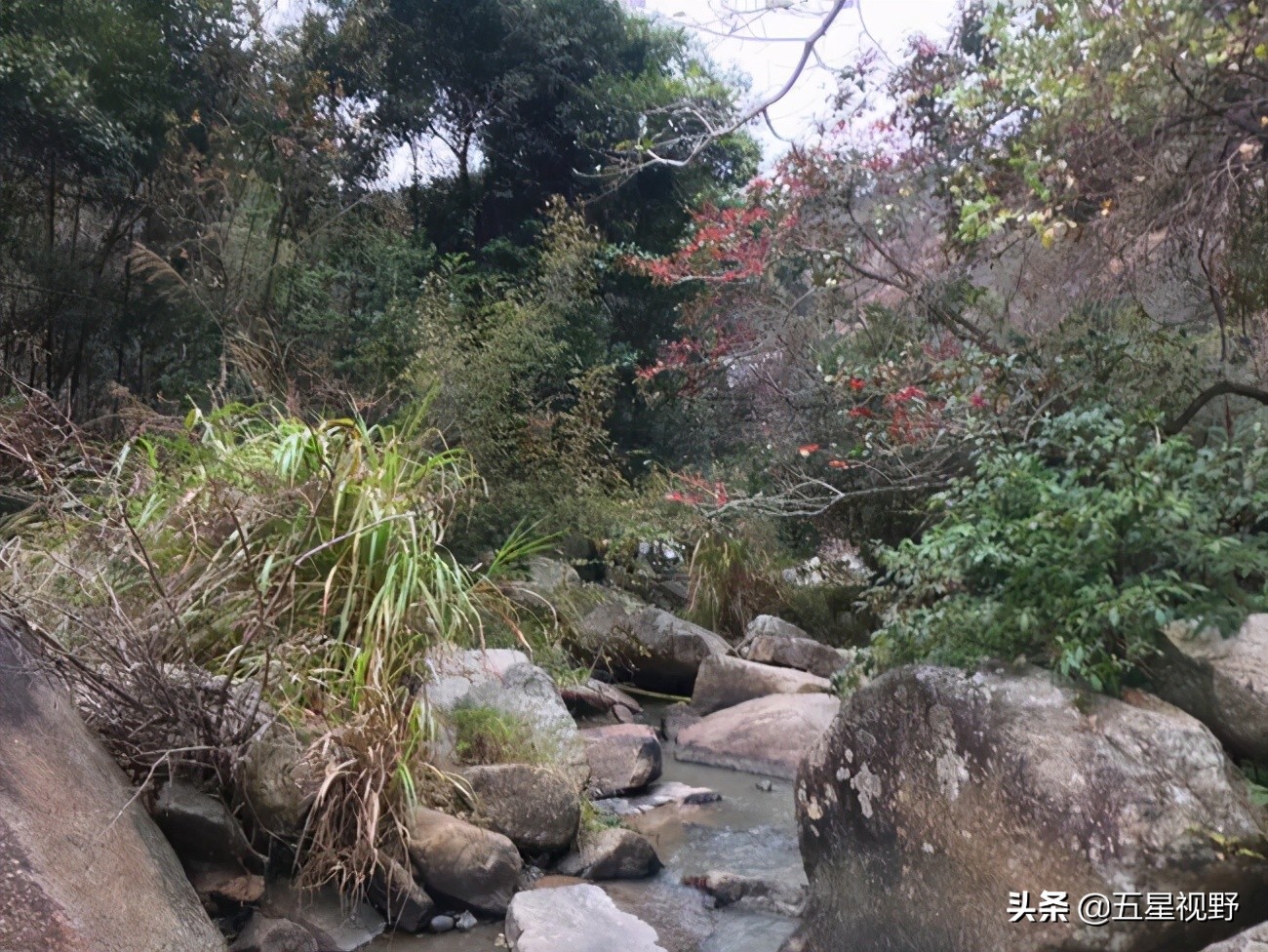 赣州三阳山，窑背有龙潭，里面还有“金鸭婆”，这个你知道吗？