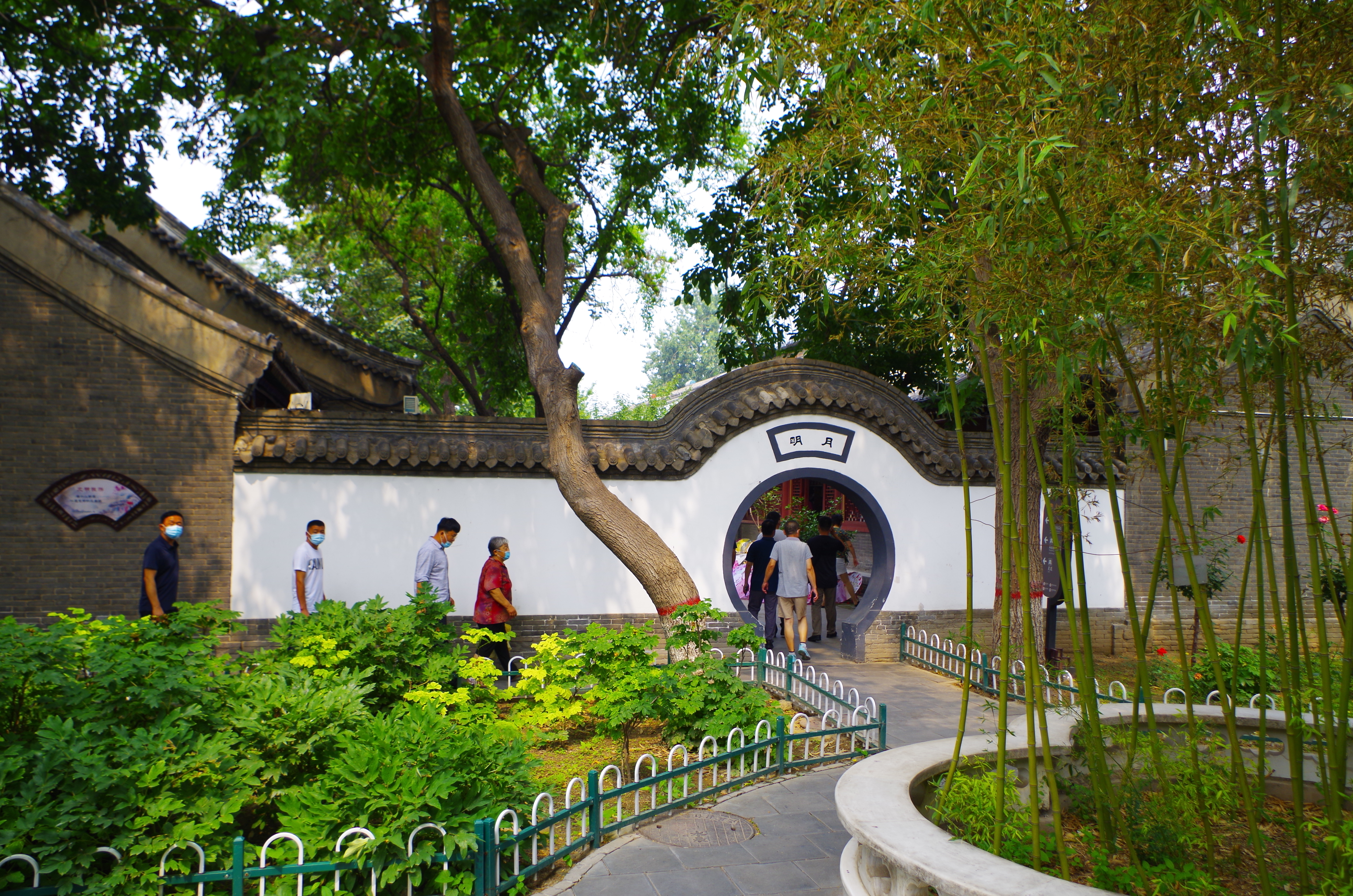 来自于1986年的荣国府