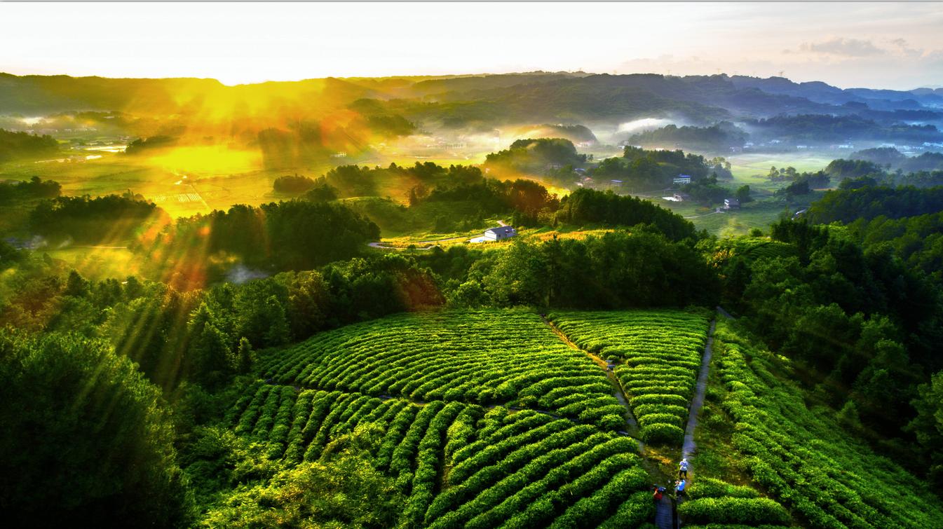 重庆之旅怎么样,重庆避暑5日游攻略从南川开始