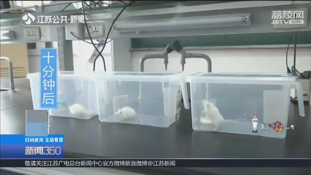 空气清新剂闻多了呼吸道难受,空气清新剂实验