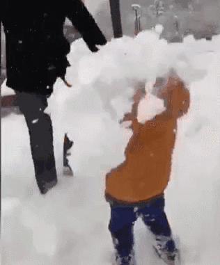 论坑娃我们是认真的,坑娃的十大恶心事