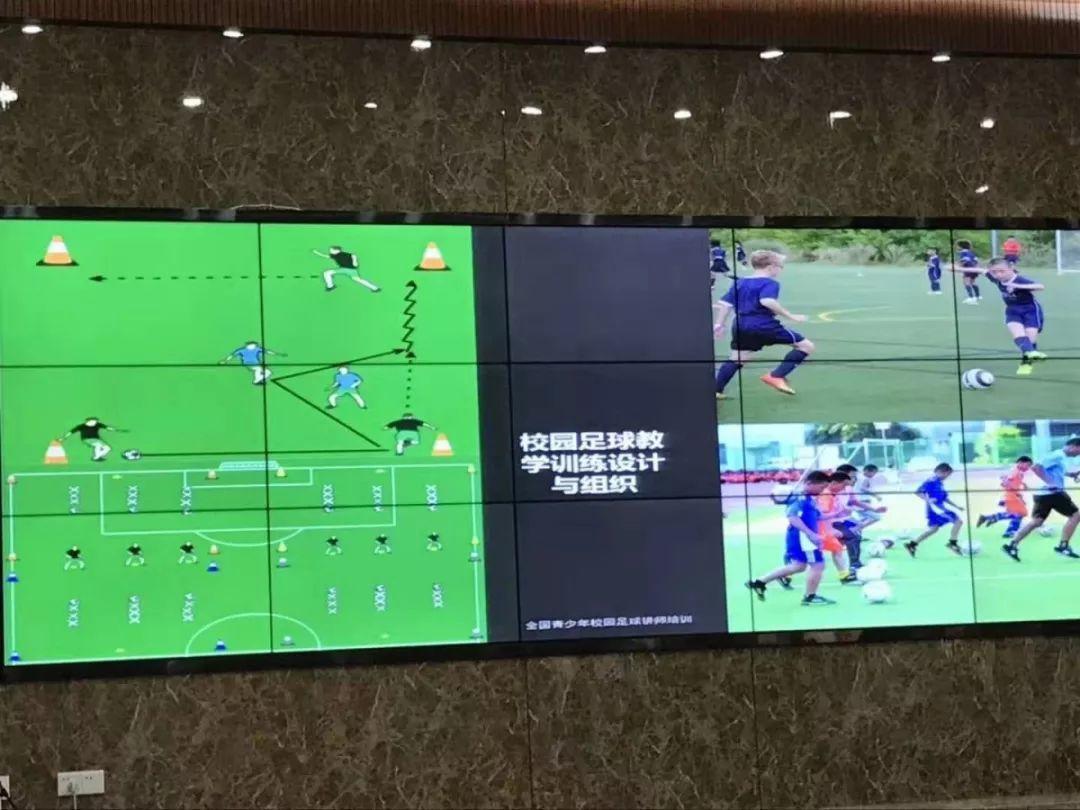 派迪茵体育产品,派迪茵体育